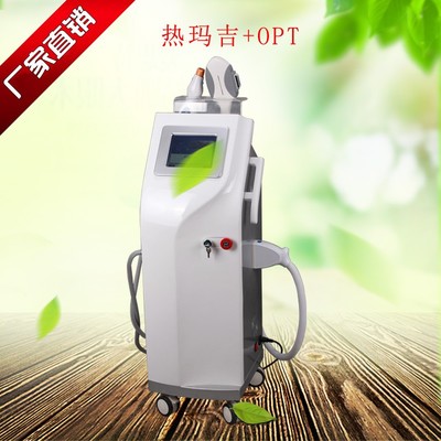 迪姿 OPT无痛脱毛 厂家直销专业脱毛仪器图片_高清图_细节图-广州市白云区迪姿美容设备厂 -